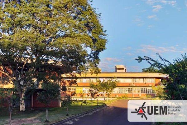 No momento, você está visualizando UEM: confira resultado do Vestibular e PAS 2022