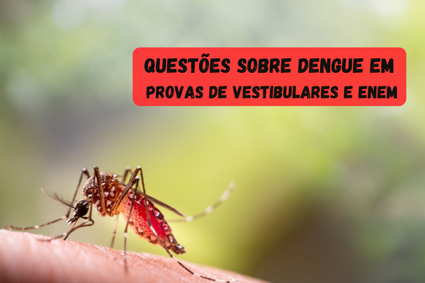 No momento, você está visualizando veja questões de vestibulares e Enem sobre a doença