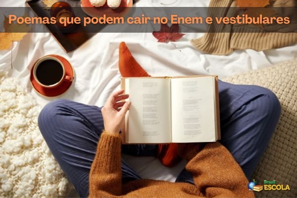 No momento, você está visualizando veja poemas que podem cair no Enem e vestibulares