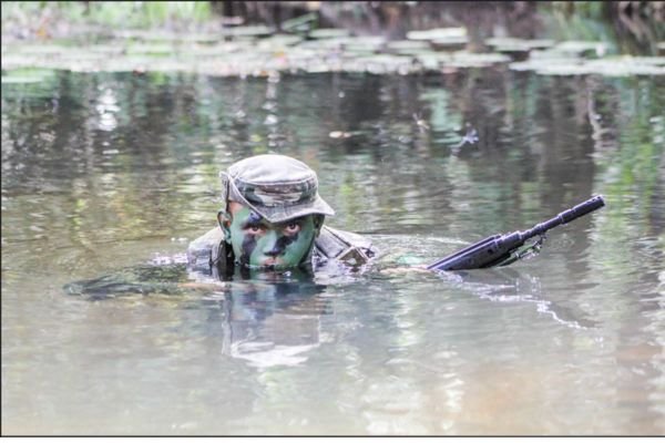 No momento, você está visualizando conheça vida profissinal destes oficiais do Exército Brasileiro