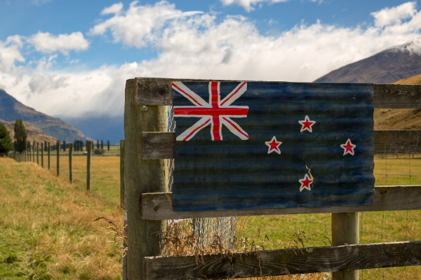 No momento, você está visualizando Conheça a educação sustentável da Nova Zelândia