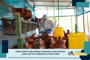 Leia mais sobre o artigo professores mostram o que estudar sobre gripe aviária