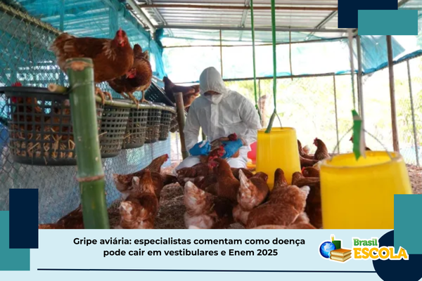 No momento, você está visualizando professores mostram o que estudar sobre gripe aviária