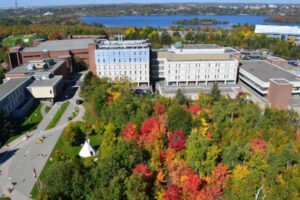 Leia mais sobre o artigo saiba sobre a bolsa de estudo de graduação