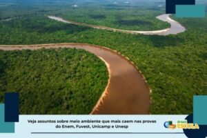 Leia mais sobre o artigo veja assuntos que caem no Enem, Fuvest, Unicamp e Unesp