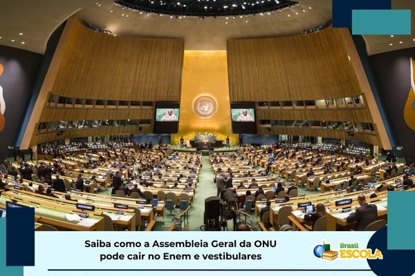 No momento, você está visualizando Assembleia Geral da ONU no Enem e vestibulares; veja dicas