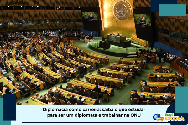 No momento, você está visualizando veja o que estudar para ser diplomata