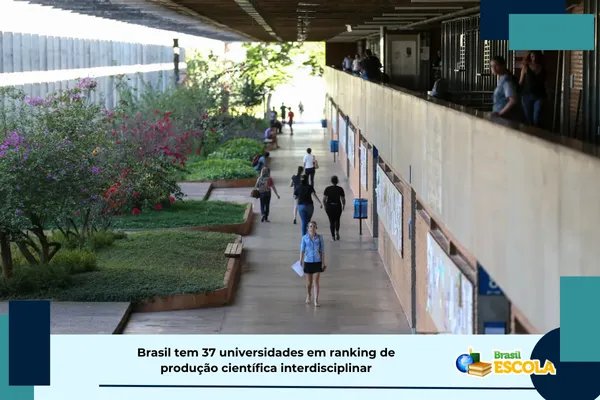 Leia mais sobre o artigo Brasil tem 37 universidades em ranking de ciência interdisciplinar