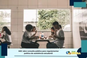 Leia mais sobre o artigo MEC abre consulta pública sobre assistência estudantil