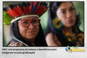 Leia mais sobre o artigo MEC cria programa de bolsas para indígenas na pós-graduação