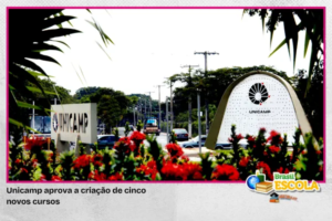 Leia mais sobre o artigo Unicamp aprova a criação de cinco novos cursos