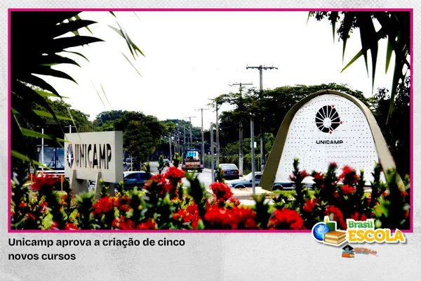 No momento, você está visualizando Unicamp aprova a criação de cinco novos cursos